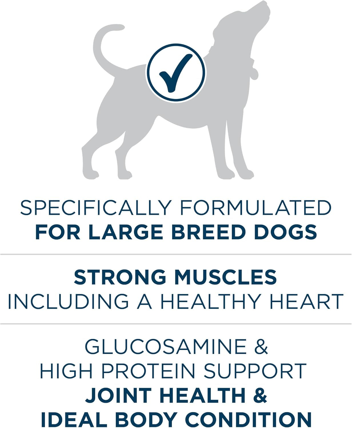 plus Large Breed Adult Dog Food Dry Formula, Real Protein Rich Natural Chicken Flavor - 40 Lb. Bag