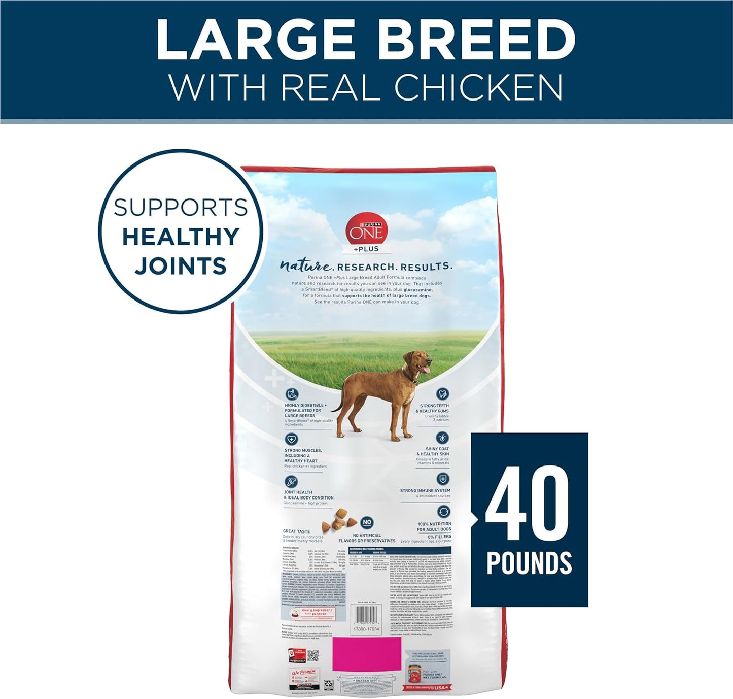 plus Large Breed Adult Dog Food Dry Formula, Real Protein Rich Natural Chicken Flavor - 40 Lb. Bag