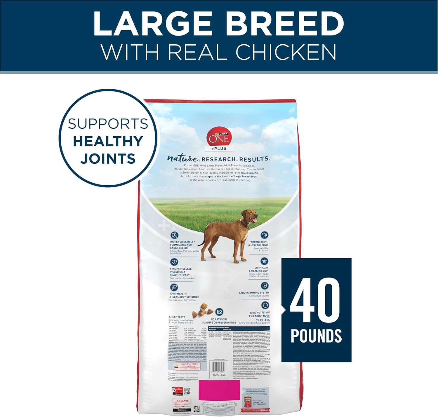plus Large Breed Adult Dog Food Dry Formula, Real Protein Rich Natural Chicken Flavor - 40 Lb. Bag