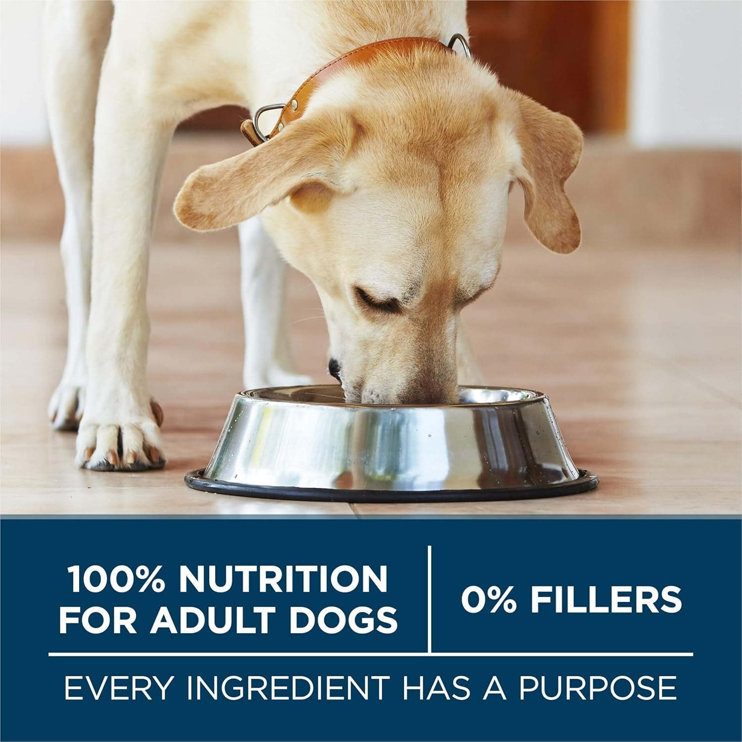 plus Large Breed Adult Dog Food Dry Formula, Real Protein Rich Natural Chicken Flavor - 40 Lb. Bag