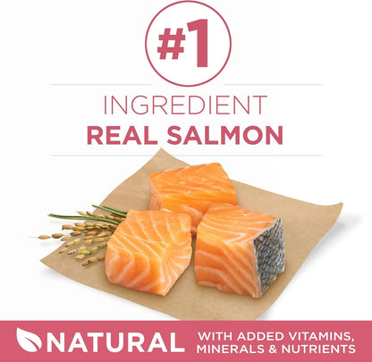 Natural, Sensitive Stomach Dry Dog Food, +Plus Skin & Coat Formula - 31.1 Lb. Bag