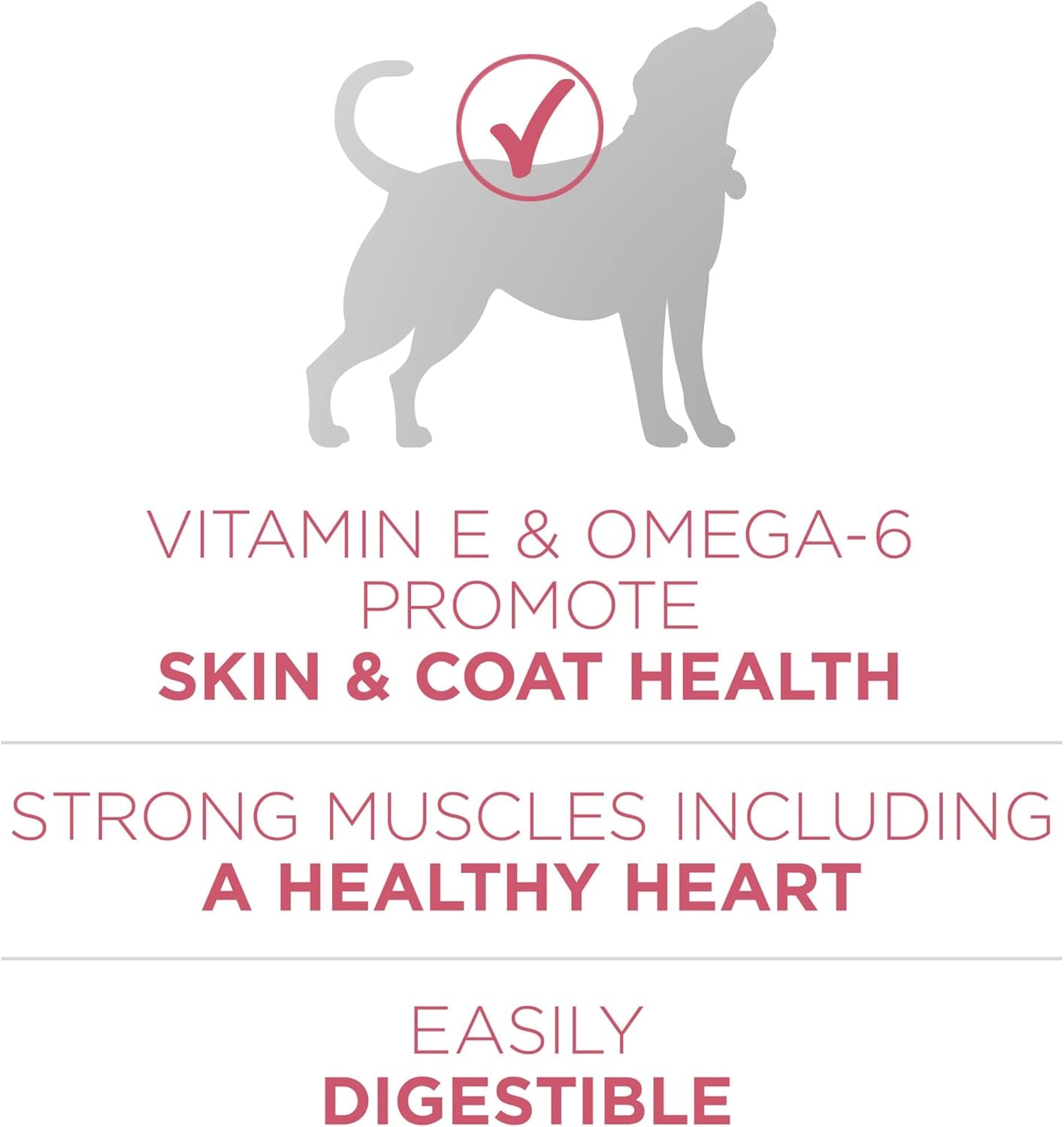 Natural, Sensitive Stomach Dry Dog Food, +Plus Skin & Coat Formula - 31.1 Lb. Bag