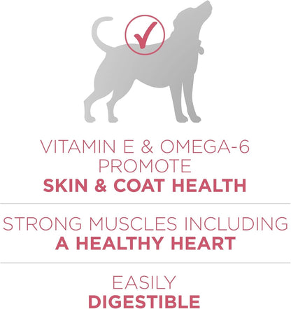 Natural, Sensitive Stomach Dry Dog Food, +Plus Skin & Coat Formula - 31.1 Lb. Bag