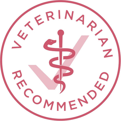 Natural, Sensitive Stomach Dry Dog Food, +Plus Skin & Coat Formula - 31.1 Lb. Bag