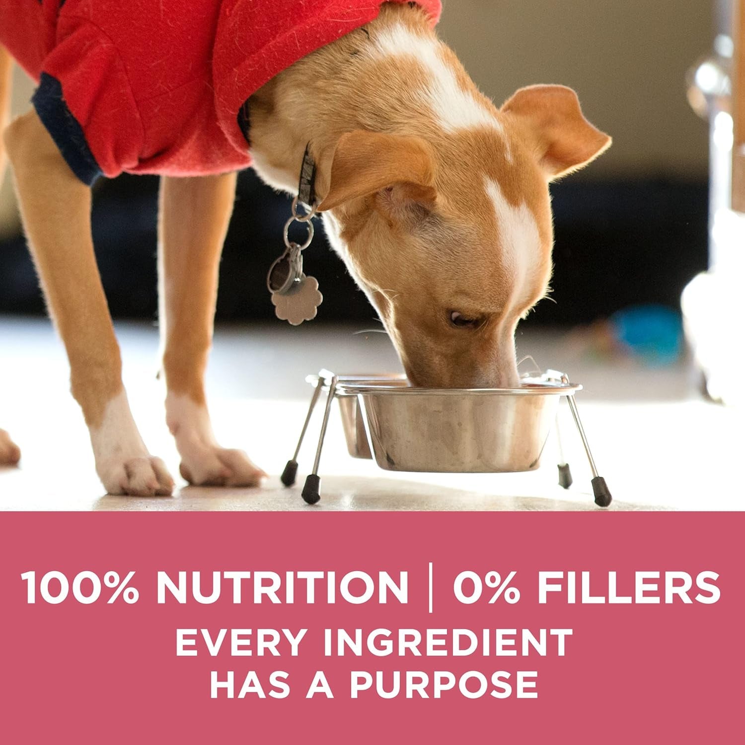 Natural, Sensitive Stomach Dry Dog Food, +Plus Skin & Coat Formula - 31.1 Lb. Bag