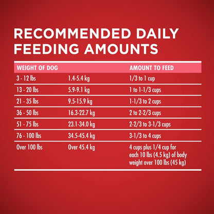 Natural, Sensitive Stomach Dry Dog Food, +Plus Skin & Coat Formula - 31.1 Lb. Bag