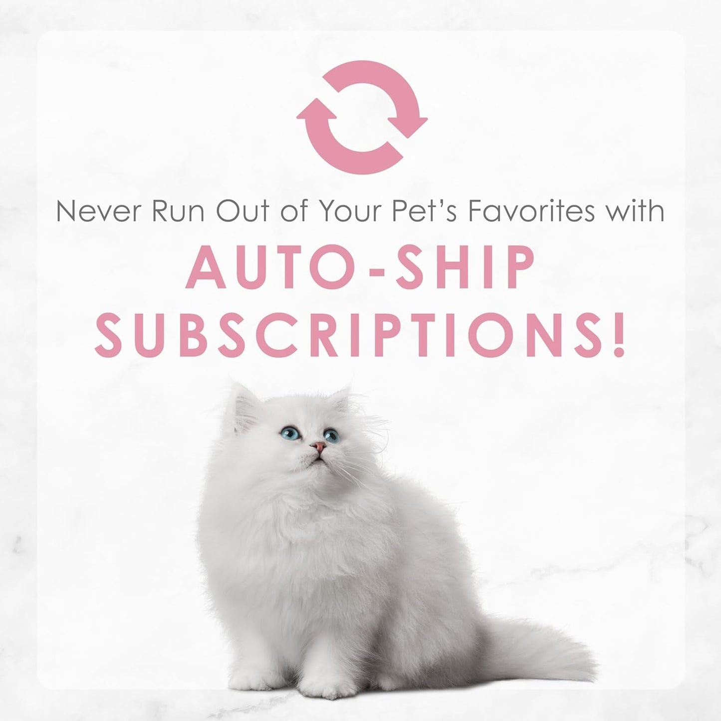 Purina  Tender Ocean Whitefish, Turkey, Chicken and Salmon Feasts Wet Kitten Food Variety Pack - (Pack of 24) 3 Oz. Boxes