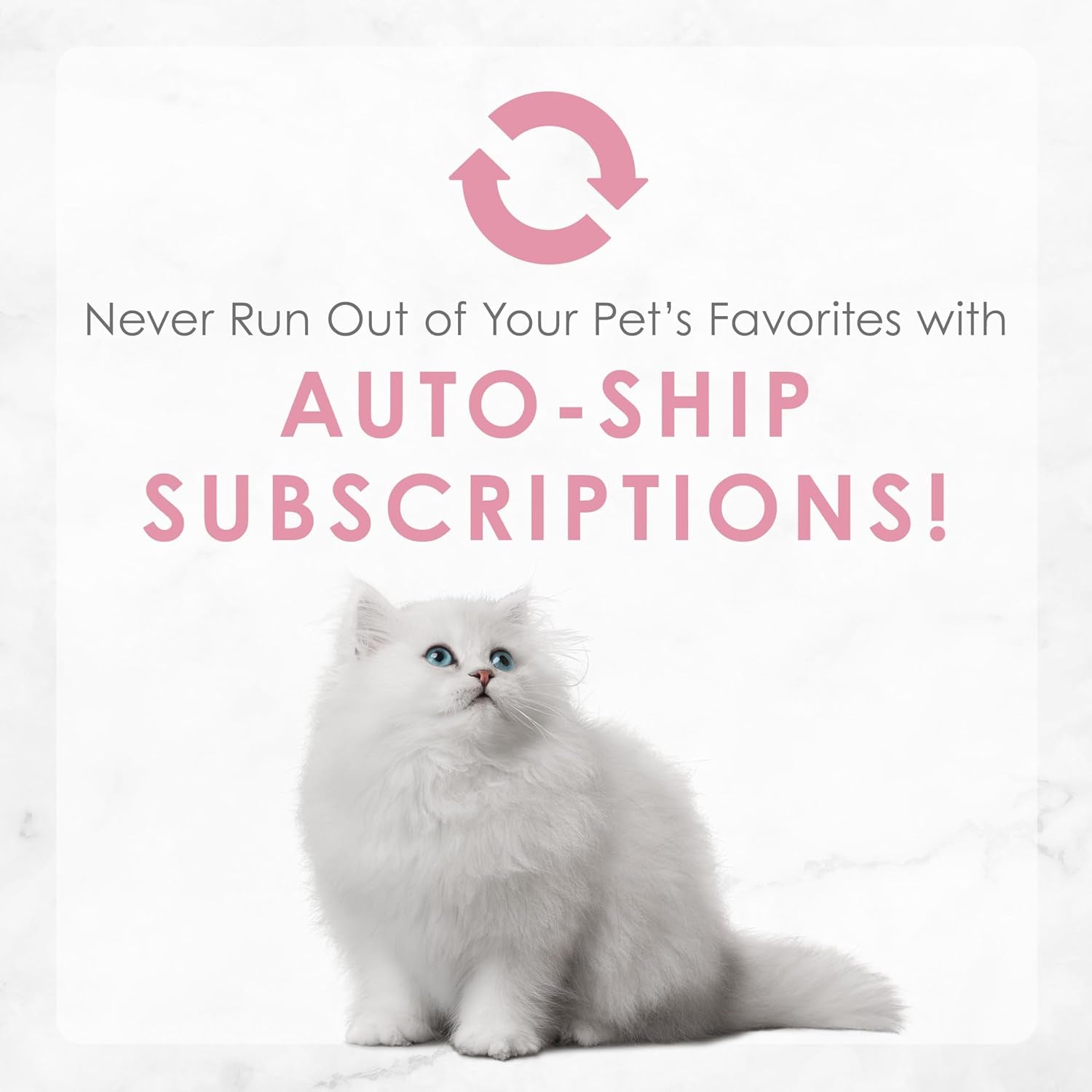 Purina  Tender Ocean Whitefish, Turkey, Chicken and Salmon Feasts Wet Kitten Food Variety Pack - (Pack of 24) 3 Oz. Boxes