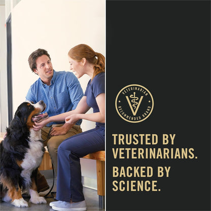 Sensitive Skin and Stomach Dog Food Dry, Adult Salmon & Rice Formula, Digestive Health - 30 Lb. Bag